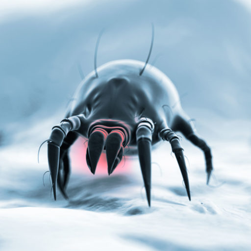 Sintomi da acaro della polvere